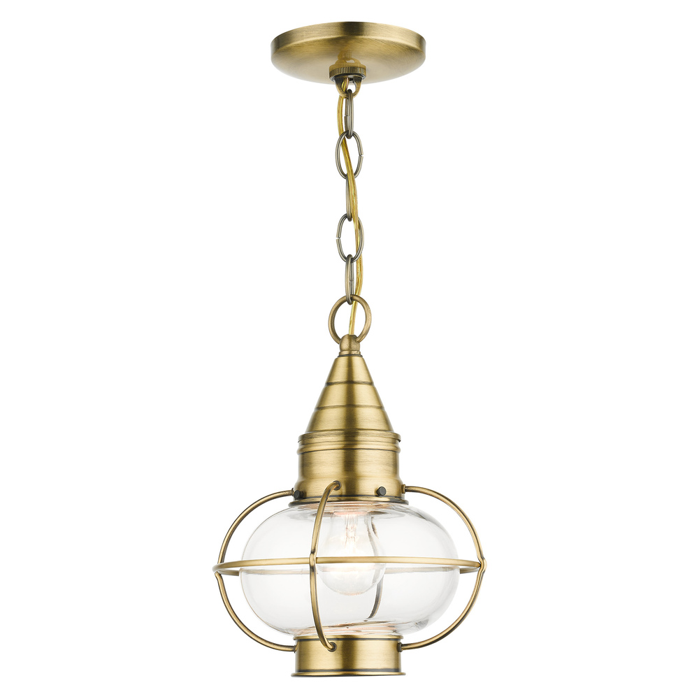 1 Lt Antique Brass Outdoor Pendant Lantern