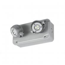 Dual-Lite, a Hubbell affiliate ELWRDHP - RMT GRY 2LGT NEMA 4X 6200K 16W 1126lm