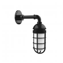 Montclair Light Works GNM050-41 - Vaportite, no shade, single wall mount with clear glass and cast guard, Black