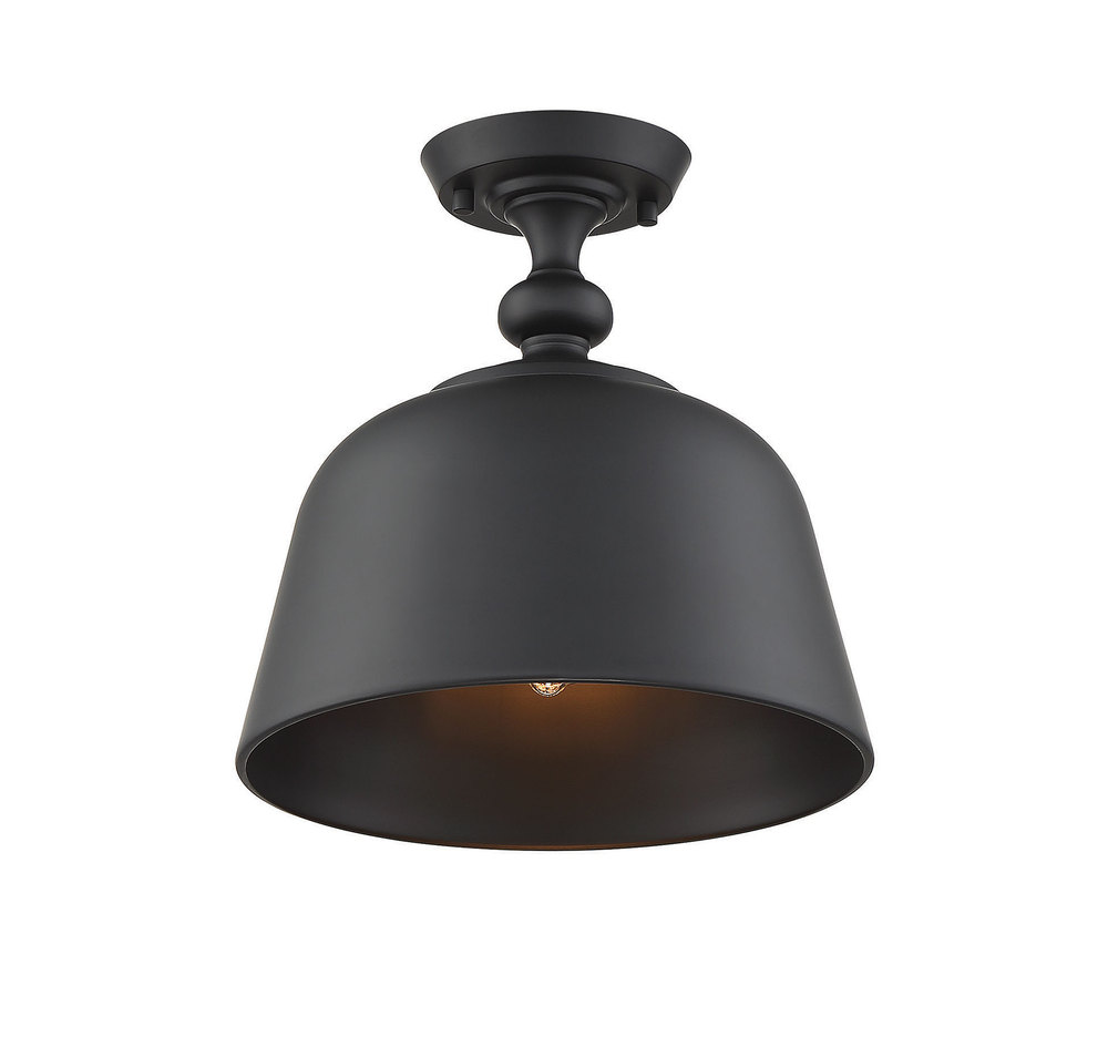 Berg 1-Light Ceiling Light in Matte Black