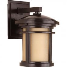 Progress P6084-20 - Wish Collection One-Light Small Wall Lantern