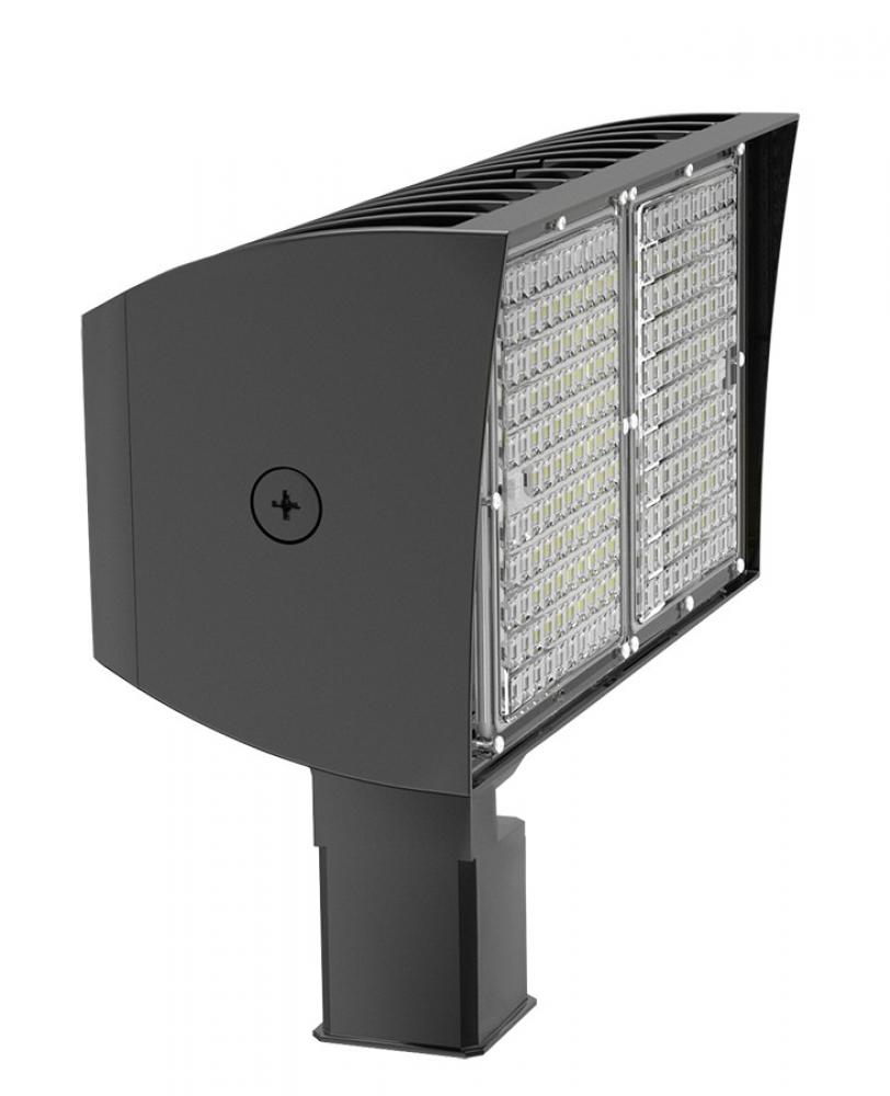 PIP XL FLOODLIGHT 100W COOL