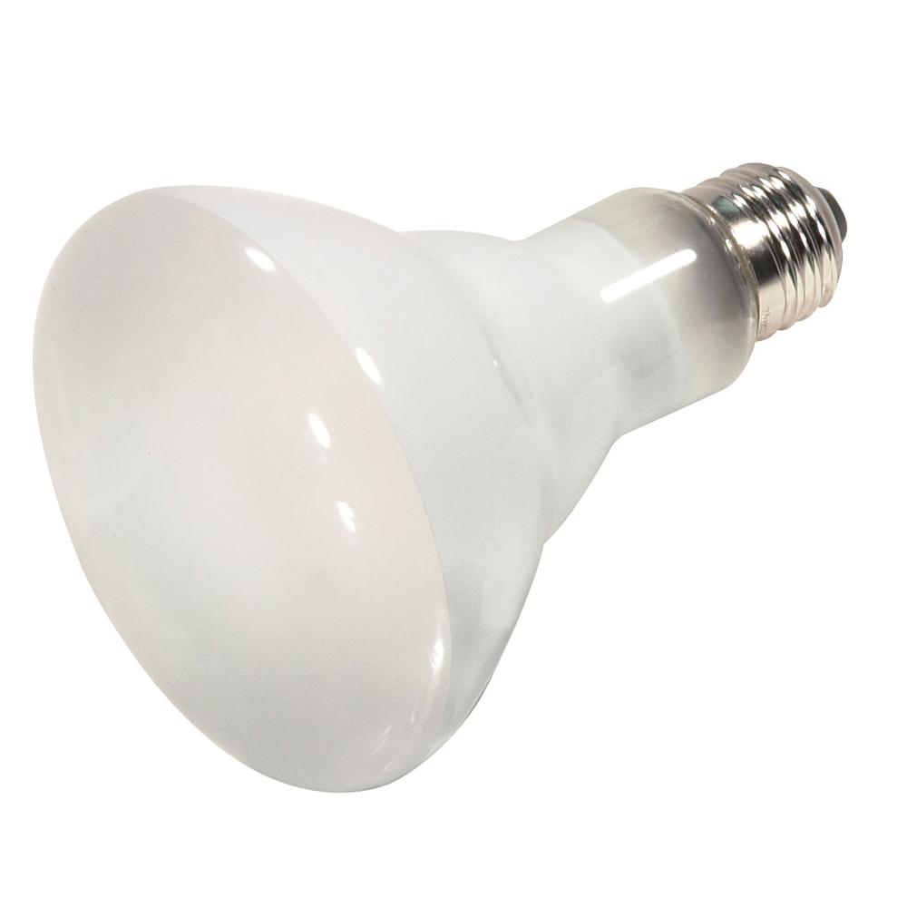 45 Watt; Halogen; R20; Frosted; 2000 Average rated hours; 560 Lumens; Medium base; 120 Volt