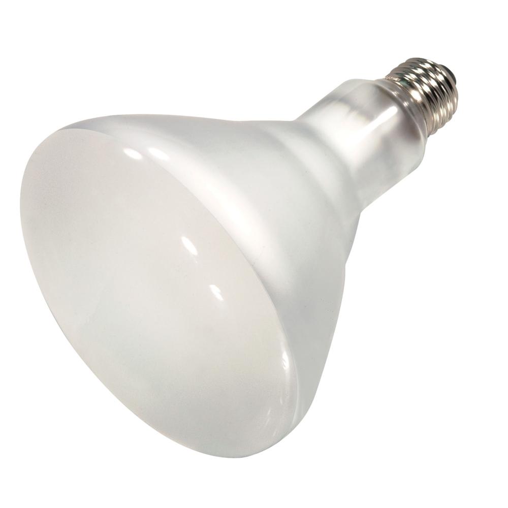 65 Watt; Halogen; BR40; Frosted; 2000 Average rated hours; 920 Lumens; Medium base; 120 Volt