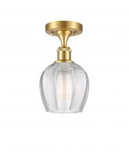 Innovations Lighting 516-1C-SG-G462-6 - Norfolk - 1 Light - 6 inch - Satin Gold - Semi-Flush Mount