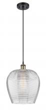 Innovations Lighting 516-1P-BAB-G462-12 - Norfolk - 1 Light - 12 inch - Black Antique Brass - Cord hung - Mini Pendant