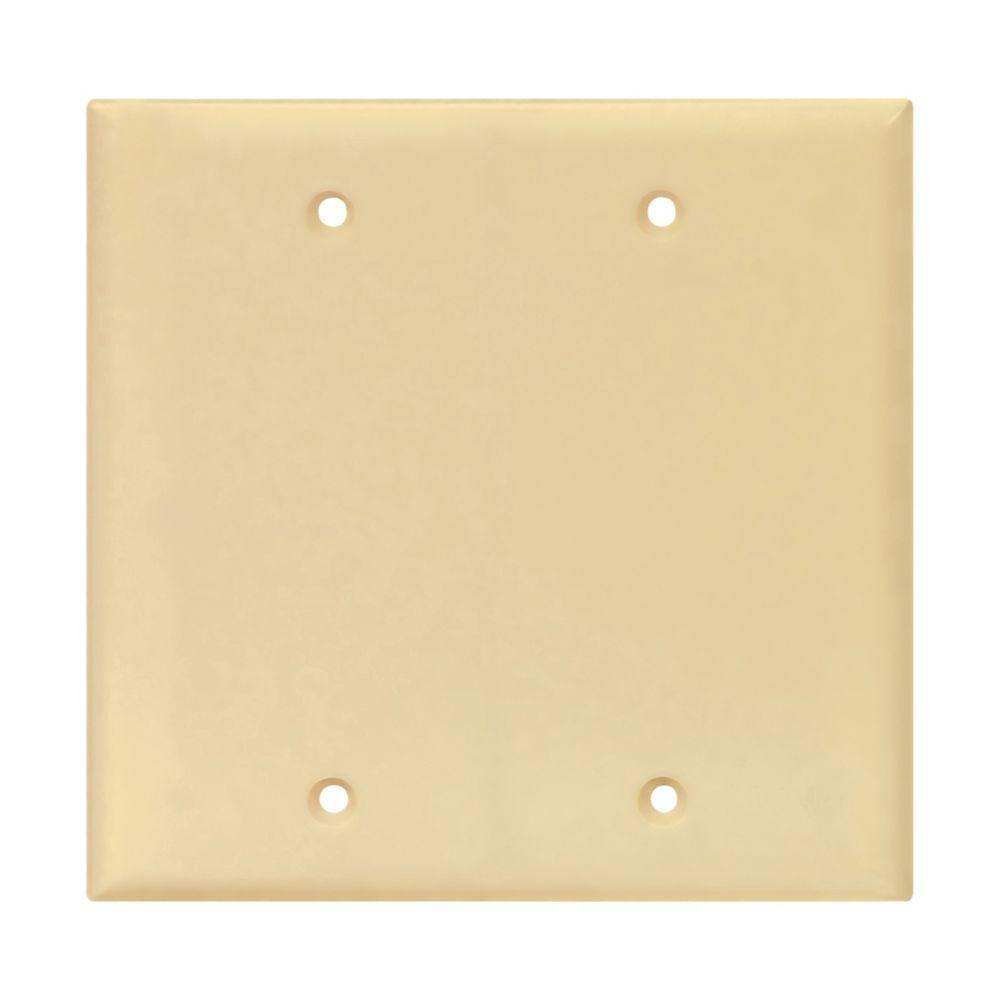 Wallplate 2G Blank Box Mount Poly Mid IV
