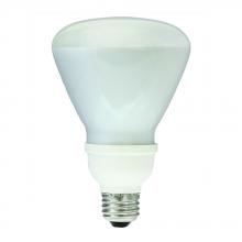 Shat-R-Shield 88299T - CFL-14W/R30/2700K (PK X 12)