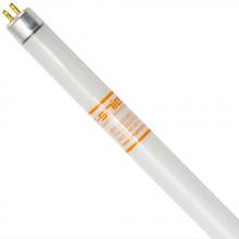 Shat-R-Shield 77532S - FP35/841/ECO (PK X 40)
