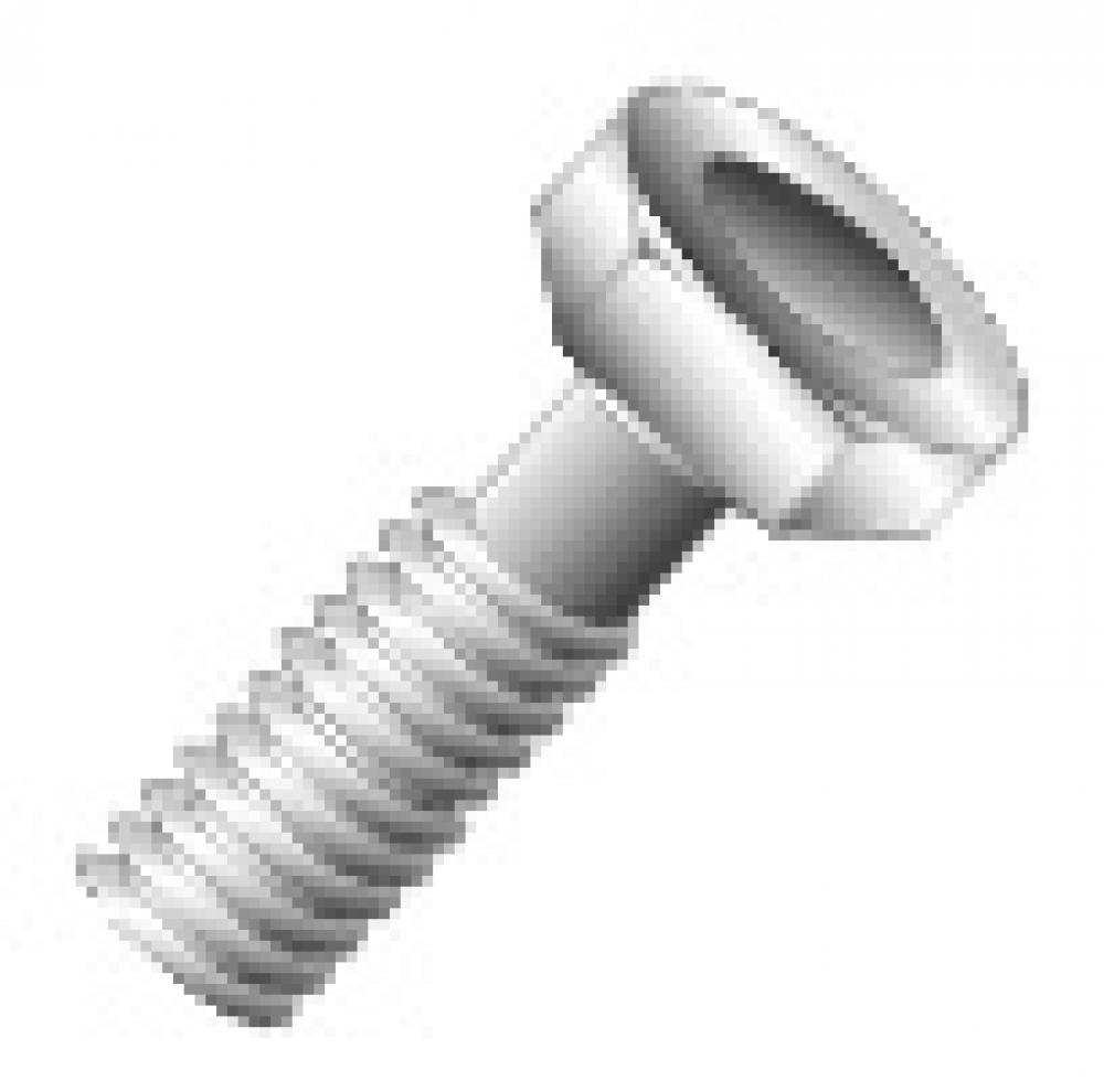 1/4-20 X 3/4 HHCS 18-8SS