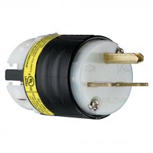 Legrand-Pass & Seymour PS5666XGCM - STR BLD GCM PLUG 3W 15A 250V