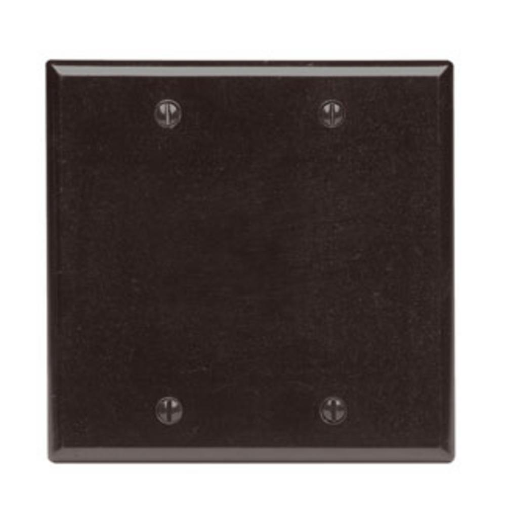 BR WP 2G 2BLANK BOX MNT