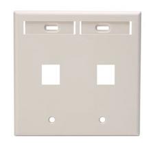 Leviton 42080-2TP - 2PORT DG QP WP W/ ID LA