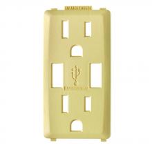 Leviton RKAA1-CS - CORN SILK RENU USB CHGR 15A REC FACEPL