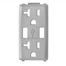 Leviton RKAA2-PG - PEB GY RENU USB CHGR 20A REC FACEPLATE