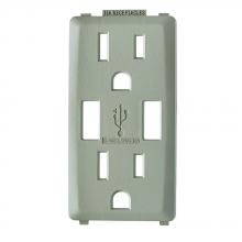 Leviton RKAA2-WS - WOOD SMOKE RENU USB CHGR 20A REC FACEPL