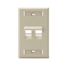 Leviton 42081-2IS - WP 2PORT SG ANG ID IV