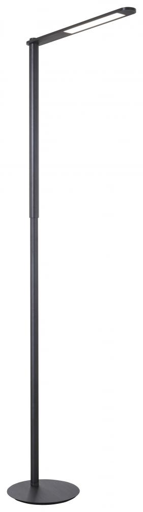 LED FLOOR LAMP