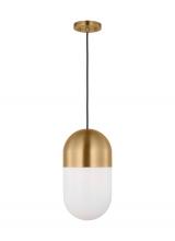 Visual Comfort & Co. Studio Collection DJP1141SB - Foster Medium Pendant