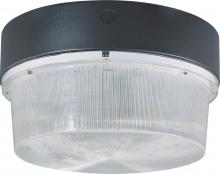Nuvo 65/014R - Metal Halide Ceiling/Wall Mount - (1) MH175W/E26