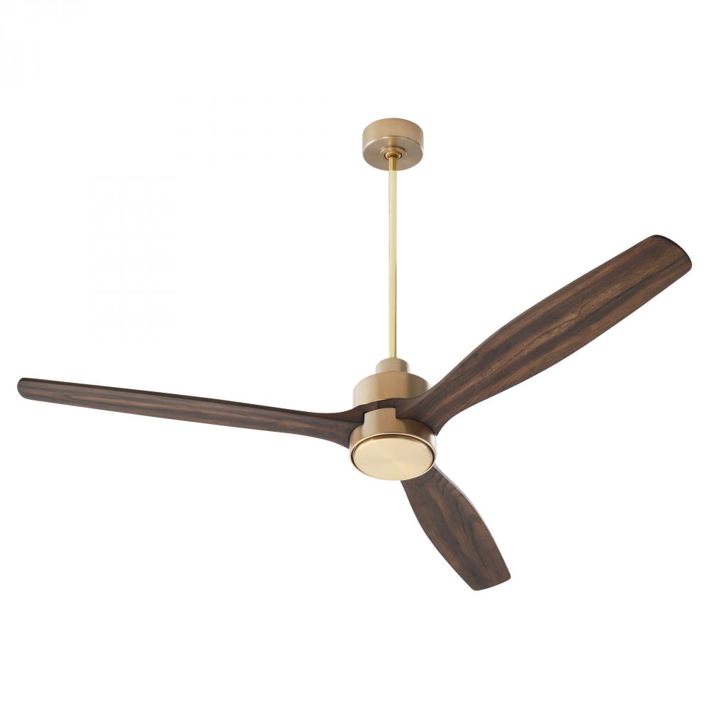 Reni 65" 3 BL Fan - AGB