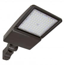 ESL Vision ESL-AL-75W-250-WHSF-T4 - Nova Area Light Series, 75 Watts, 11,183 Lumens,