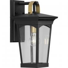 Progress Lighting, a Hubbell affiliate P560182-031 - P560182-031 1-100W MED WALL LANTERN
